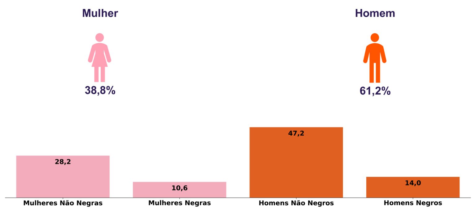 Composição dos empregados por sexo, etnia e raça do 2º semestre de 2024